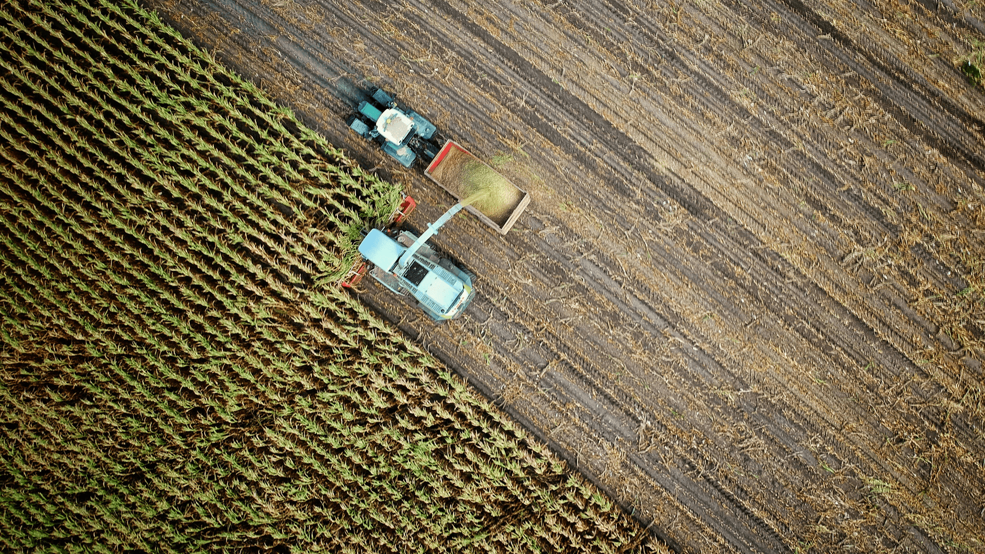 Agriculture Supply Chain Optimization
